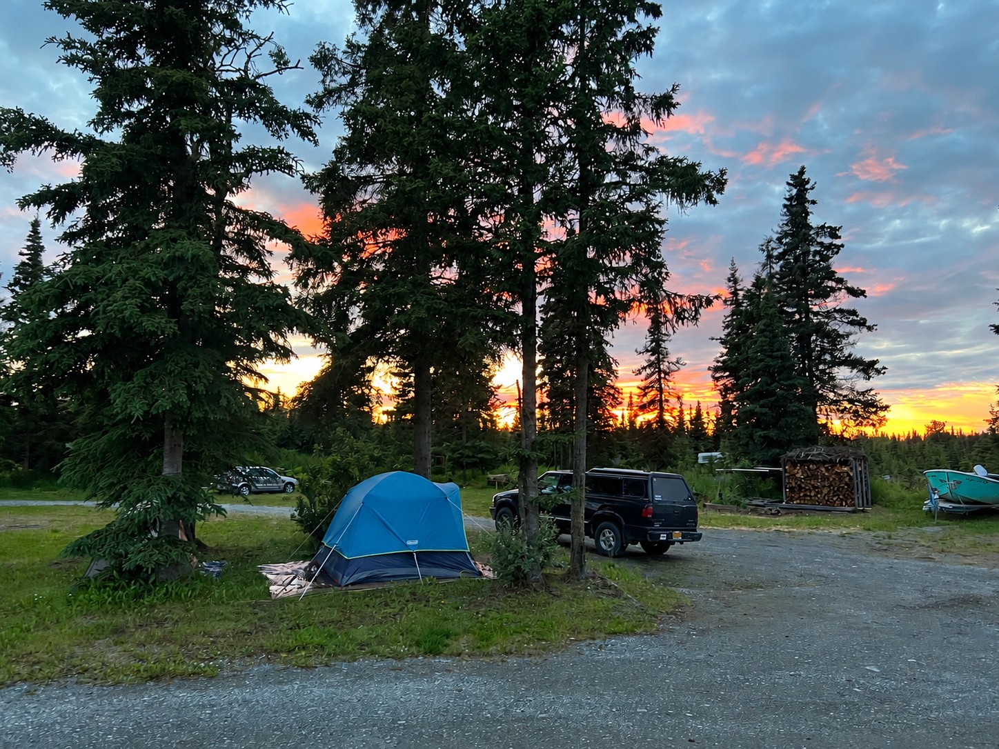 A blue tent beneath spruce trees at sunset at Albatross Fish Camp